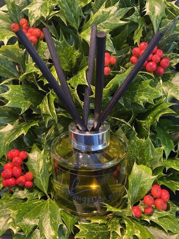 Winter Warming Diffuser | Angelica Belle